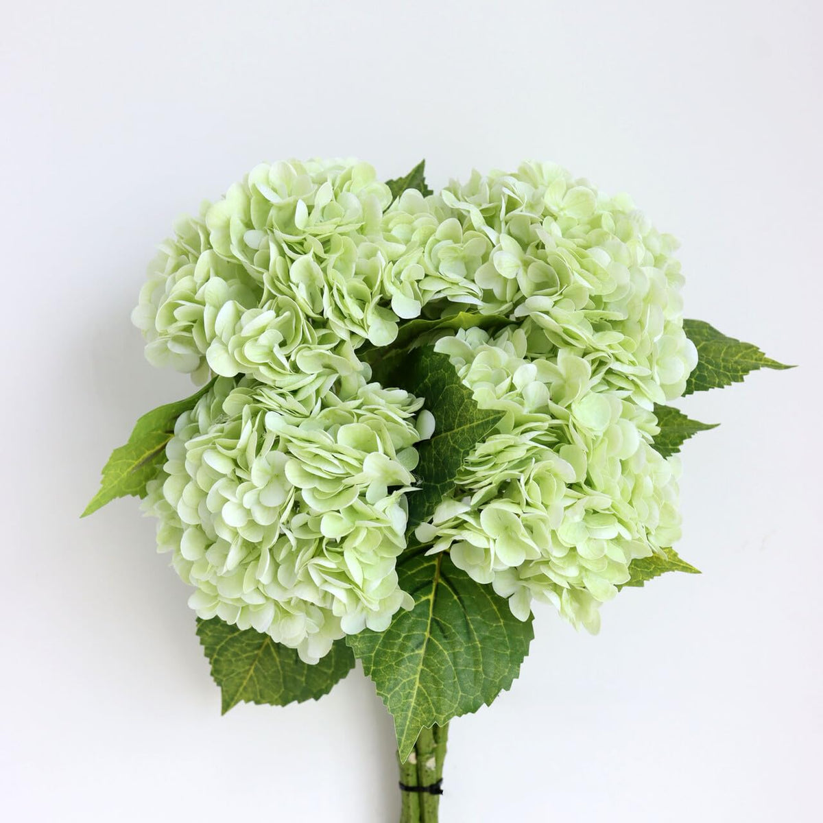 Hydrangea Flower Stems