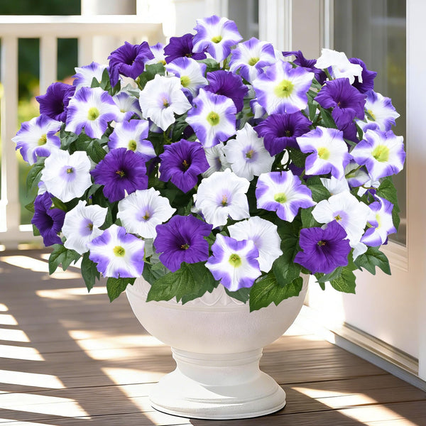 Two-Bundle Outdoor Flower Starter