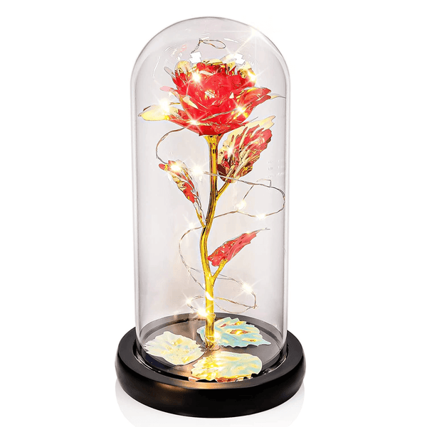 Traditional Arts Galaxy Rose Display