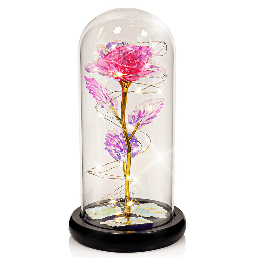 Traditional Arts Galaxy Rose Display